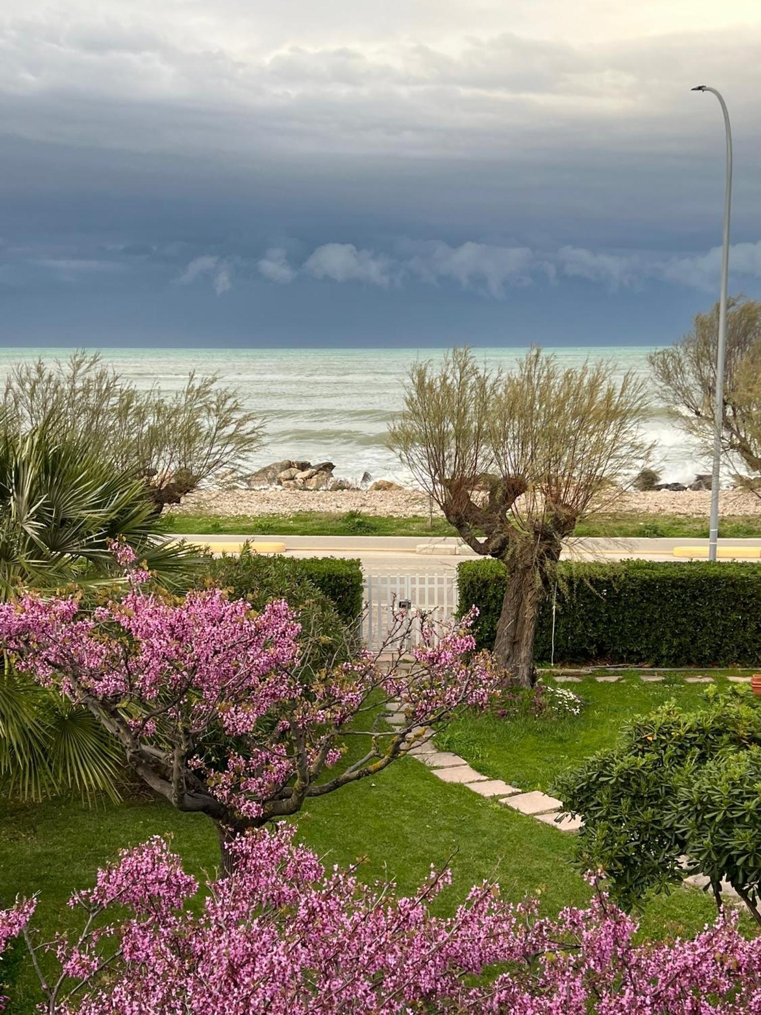 B&B I Versi Del Mare Roseto Degli Abruzzi Eksteriør billede